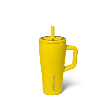 Era 20oz | Pineapple - Picnic Cold-Sip