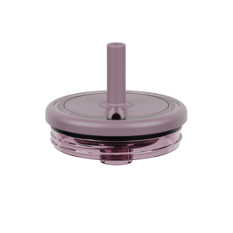Era Replacement Lid 20oz | Lilac Dusk - Picnic Add-On